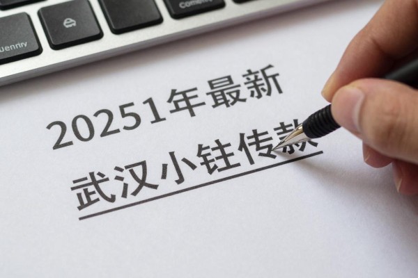 2025年最新武汉小额贷款：武汉哪里能快速申请小额借款