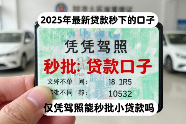 2025年最新驾驶证贷款秒下的口子：仅凭驾照能秒批小额贷款吗