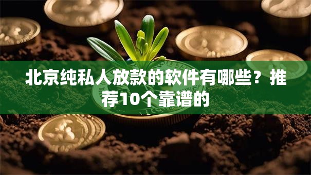 北京纯私人放款的软件有哪些？推荐10个靠谱的