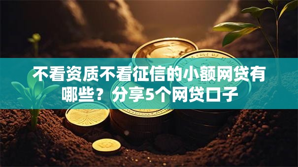 不看资质不看征信的小额网贷有哪些？分享5个网贷口子