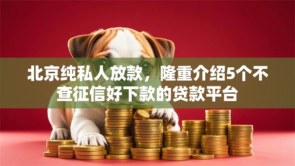 北京纯私人放款,隆重介绍5个不查征信好下款的贷款平台 北京纯私人放款,隆重介绍5个不查征信好下款的贷款平台