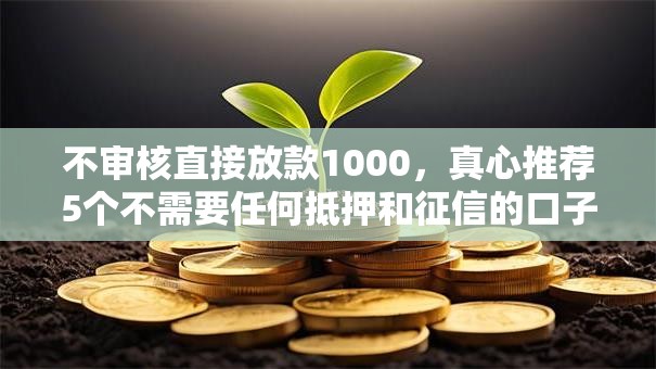 不审核直接放款1000,真心推荐5个不需要任何抵押和征信的口子 不审核直接放款1000,真心推荐5个不需要任何抵押和征信的口子
