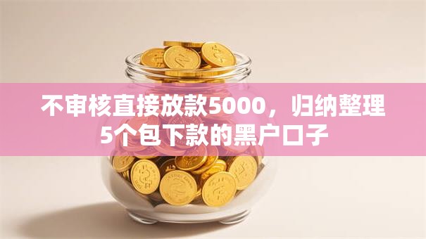 不审核直接放款5000,归纳整理5个包下款的黑户口子 不审核直接放款5000,归纳整理5个包下款的黑户口子