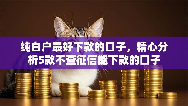 纯白户最好下款的口子，精心分析5款不查征信能下款的口子