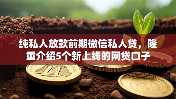 纯私人放款前期微信私人贷,隆重介绍5个新上线的网贷口子 纯私人放款前期微信私人贷,隆重介绍5个新上线的网贷口子