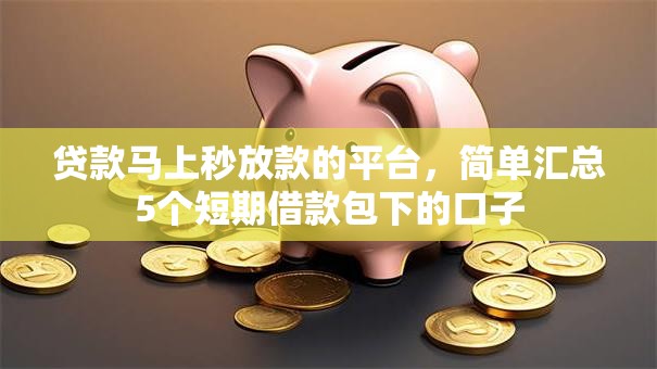 贷款马上秒放款的平台，简单汇总5个短期借款包下的口子