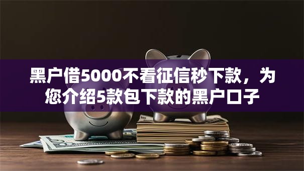 黑户借5000不看征信秒下款，为您介绍5款包下款的黑户口子