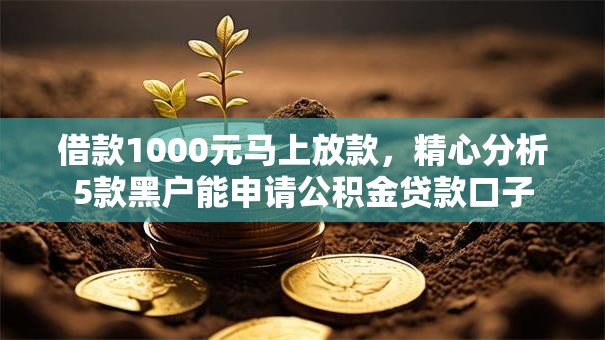 借款1000元马上放款,精心分析5款黑户能申请公积金贷款口子 借款1000元马上放款,精心分析5款黑户能申请公积金贷款口子