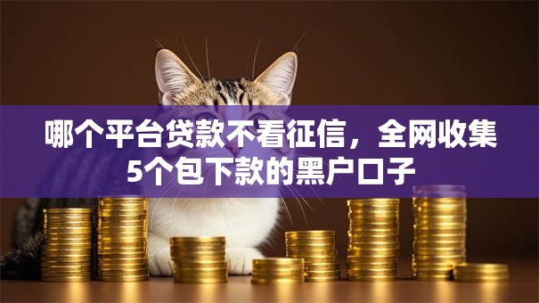 哪个平台贷款不看征信,全网收集5个包下款的黑户口子 哪个平台贷款不看征信,全网收集5个包下款的黑户口子