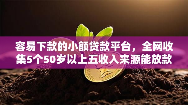 容易下款的小额贷款平台,全网收集5个50岁以上五收入来源能放款的平台 容易下款的小额贷款平台,全网收集5个50岁以上五收入来源能放款的平台