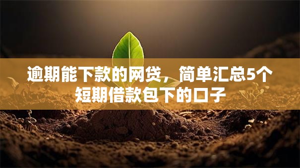 逾期能下款的网贷，简单汇总5个短期借款包下的口子