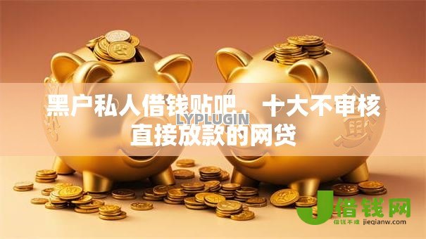 黑户私人借钱贴吧，十大不审核直接放款的网贷