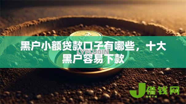 黑户小额贷款口子有哪些,十大黑户容易下款 黑户小额贷款口子有哪些,十大黑户容易下款