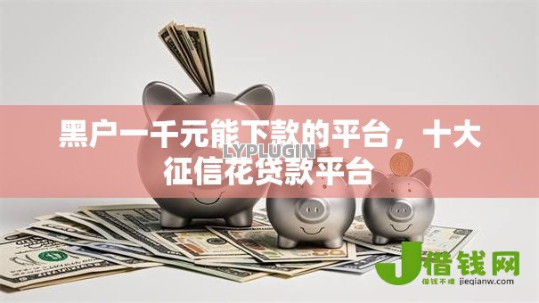 黑户一千元能下款的平台，十大征信花贷款平台