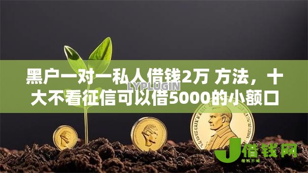 黑户一对一私人借钱2万 方法,十大不看征信可以借5000的小额口子 黑户一对一私人借钱2万 方法,十大不看征信可以借5000的小额口子