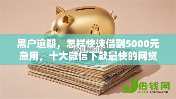 黑户逾期,怎样快速借到5000元急用,十大微信下款最快的网贷 黑户逾期,怎样快速借到5000元急用,十大微信下款最快的网贷