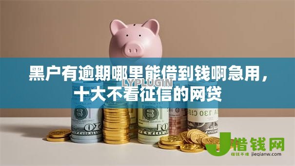 黑户有逾期哪里能借到钱啊急用,十大不看征信的网贷 黑户有逾期哪里能借到钱啊急用,十大不看征信的网贷