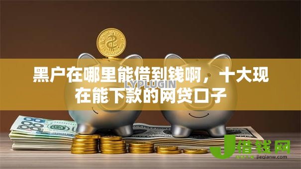 黑户在哪里能借到钱啊，十大现在能下款的网贷口子
