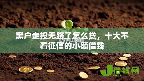 黑户走投无路了怎么贷，十大不看征信的小额借钱
