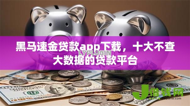黑马速金贷款app下载，十大不查大数据的贷款平台
