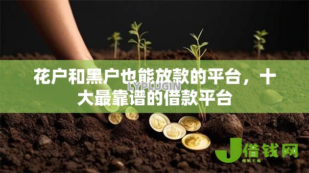 花户和黑户也能放款的平台,十大最靠谱的借款平台 花户和黑户也能放款的平台,十大最靠谱的借款平台