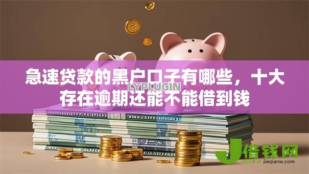 急速贷款的黑户口子有哪些,十大存在逾期还能不能借到钱 急速贷款的黑户口子有哪些,十大存在逾期还能不能借到钱