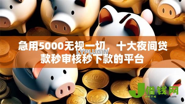 急用5000无视一切，十大夜间贷款秒审核秒下款的平台