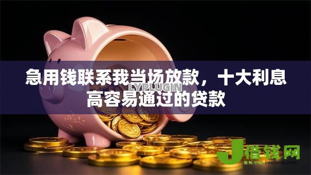 急用钱联系我当场放款，十大利息高容易通过的贷款