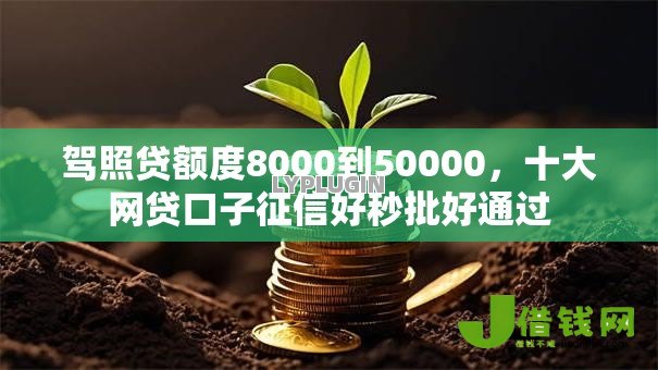 驾照贷额度8000到50000，十大网贷口子征信好秒批好通过