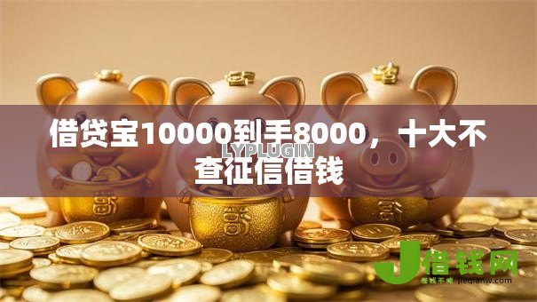 借贷宝10000到手8000，十大不查征信借钱