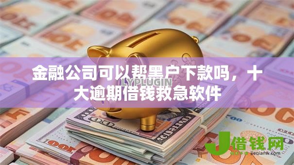 金融公司可以帮黑户下款吗，十大逾期借钱救急软件