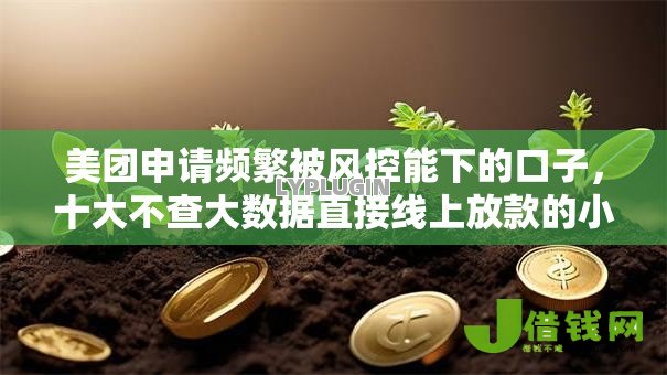 美团申请频繁被风控能下的口子,十大不查大数据直接线上放款的小额口子 美团申请频繁被风控能下的口子,十大不查大数据直接线上放款的小额口子