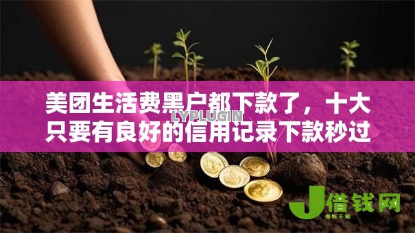 美团生活费黑户都下款了,十大只要有良好的信用记录下款秒过的网贷口子 美团生活费黑户都下款了,十大只要有良好的信用记录下款秒过的网贷口子