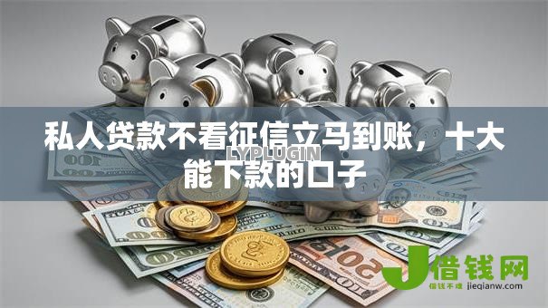 私人贷款不看征信立马到账，十大能下款的口子