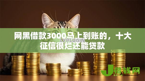 网黑借款3000马上到账的,十大征信很烂还能贷款 网黑借款3000马上到账的,十大征信很烂还能贷款