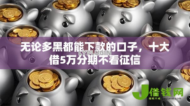 无论多黑都能下款的口子，十大借5万分期不看征信