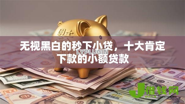 无视黑白的秒下小贷，十大肯定下款的小额贷款