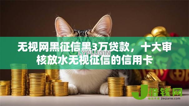 无视网黑征信黑3万贷款，十大审核放水无视征信的信用卡