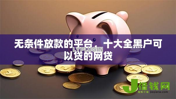 无条件放款的平台,十大全黑户可以贷的网贷 无条件放款的平台,十大全黑户可以贷的网贷