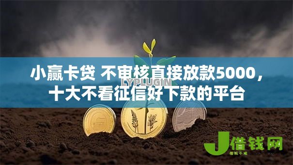 小赢卡贷 不审核直接放款5000,十大不看征信好下款的平台 小赢卡贷 不审核直接放款5000,十大不看征信好下款的平台
