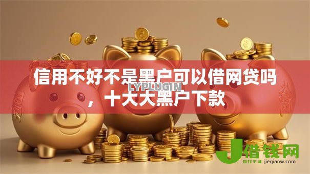 信用不好不是黑户可以借网贷吗,十大大黑户下款 信用不好不是黑户可以借网贷吗,十大大黑户下款