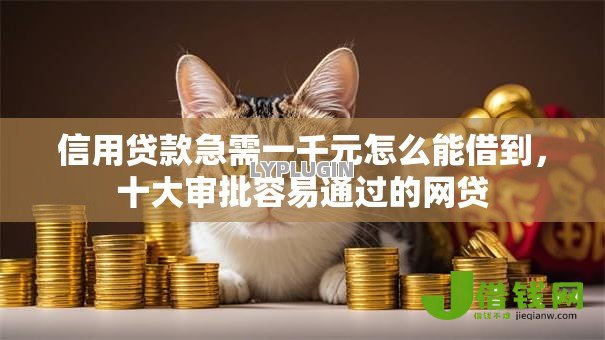 信用贷款急需一千元怎么能借到，十大审批容易通过的网贷