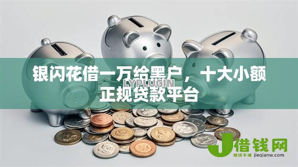银闪花借一万给黑户，十大小额正规贷款平台