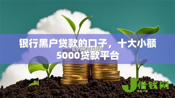 银行黑户贷款的口子，十大小额5000贷款平台