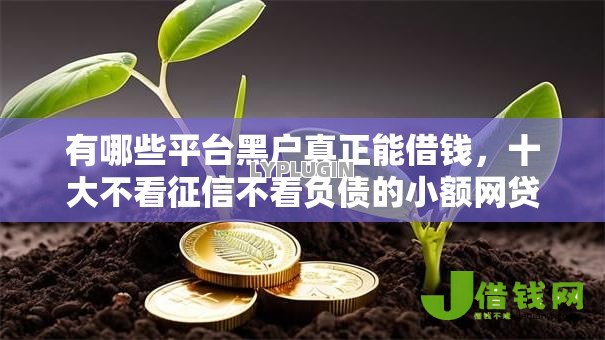 有哪些平台黑户真正能借钱，十大不看征信不看负债的小额网贷