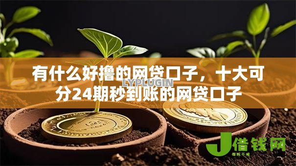 有什么好撸的网贷口子，十大可分24期秒到账的网贷口子