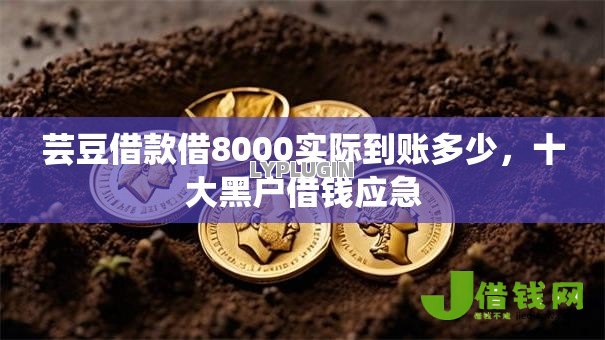 芸豆借款借8000实际到账多少,十大黑户借钱应急 芸豆借款借8000实际到账多少,十大黑户借钱应急