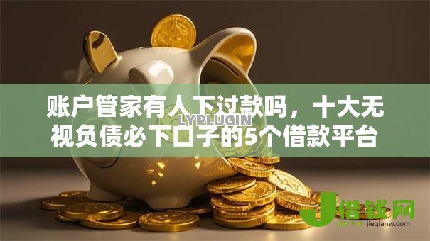 账户管家有人下过款吗，十大无视负债必下口子的5个借款平台