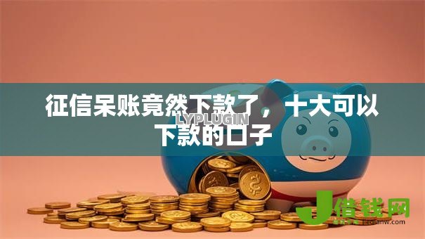 征信呆账竟然下款了,十大可以下款的口子 征信呆账竟然下款了,十大可以下款的口子
