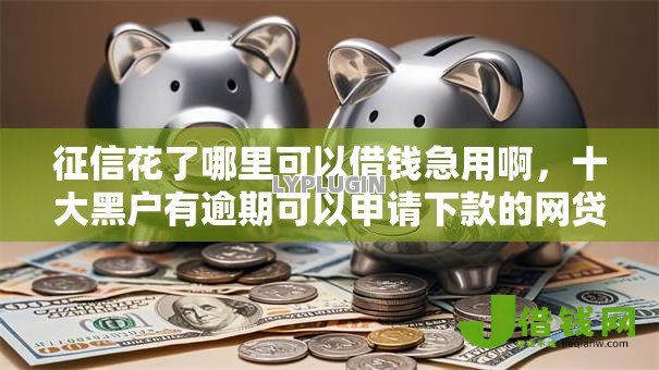 征信花了哪里可以借钱急用啊,十大黑户有逾期可以申请下款的网贷口子 征信花了哪里可以借钱急用啊,十大黑户有逾期可以申请下款的网贷口子